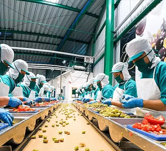 HVAC and MEP solutions for food processing industries