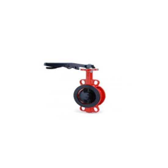 Butterfly valve used for isolation and flow control in a fire fighting piping system