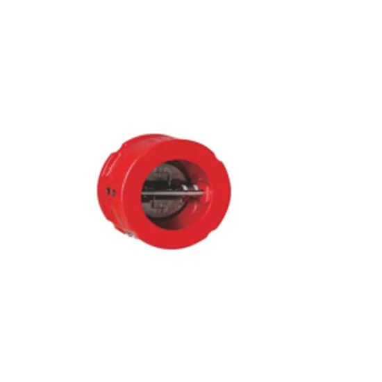 Check valve for controlling reverse water flow in a fire protection system